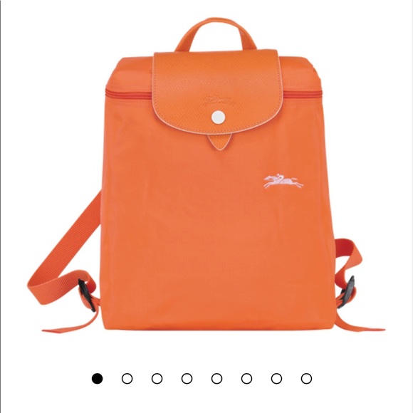 longchamp backpack dimensions
